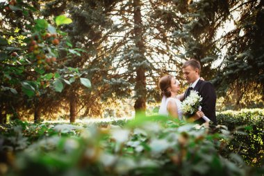 Park geçmişinde bir çift gelin ve damat