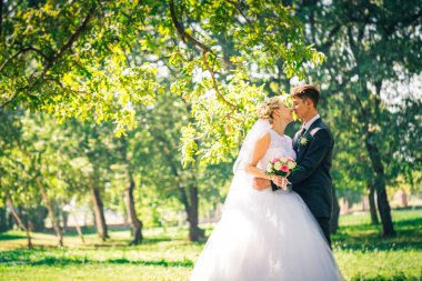 portre gelin ve damat park sokak arka plan üzerinde