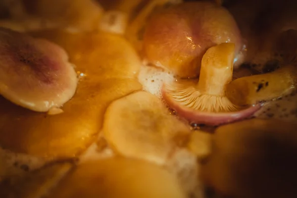 Champiñones cocinados en una cacerola de cerca —  Fotos de Stock