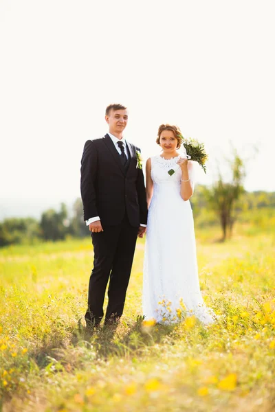 Pár menyasszony és vőlegény a területen háttér — Stock Fotó