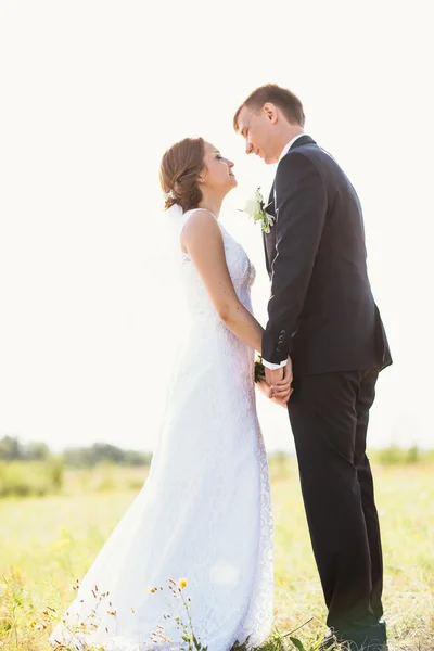 Casal noiva e noivo no fundo do campo — Fotografia de Stock