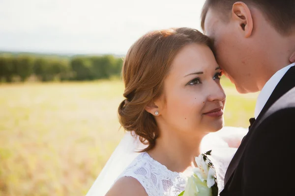 Пара наречена і наречений на фоні поля — стокове фото