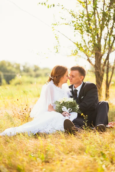 Pareja novia y novio en campo fondo —  Fotos de Stock