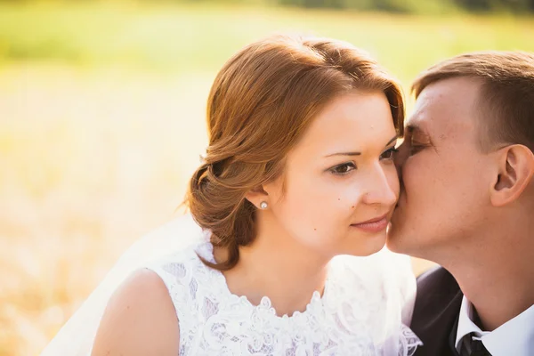 Retrato de una pareja de novios en el campo de fondo — Foto de Stock