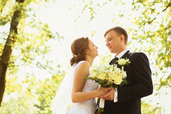 Couple bride and groom on a park background — Stock Photo, Image