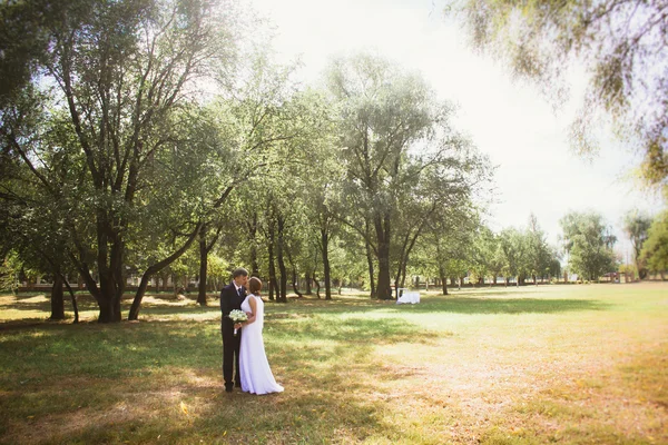 Par brud och brudgum på en park bakgrund — Stockfoto