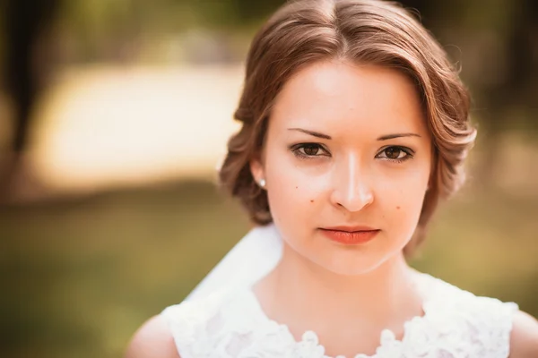 Portrait of a young bride on the background the park — Stock Photo, Image