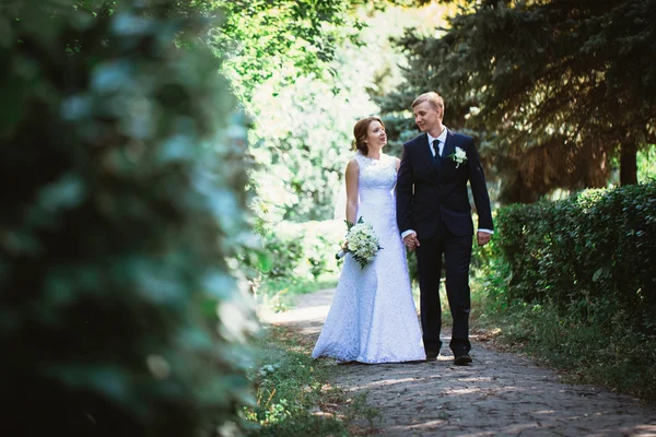 Park geçmişinde bir çift gelin ve damat — Stok fotoğraf