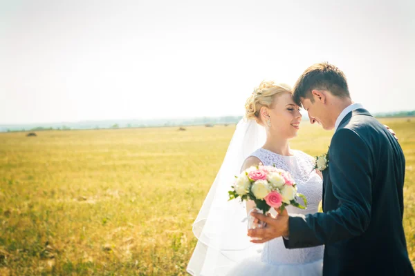 La novia y el novio en el fondo del campo — Foto de Stock