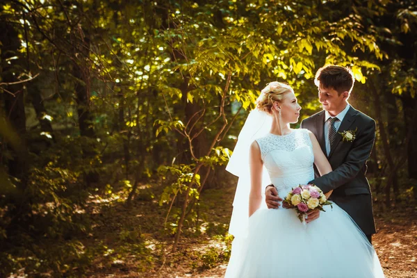 Novia y novio en el fondo del bosque — Foto de Stock