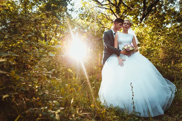 Novia y novio en el fondo del bosque — Foto de Stock