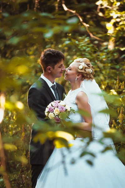 Невеста и жених на фоне леса — стоковое фото