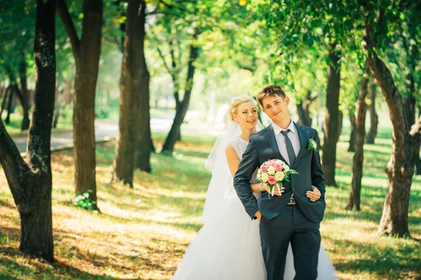 Retrato de la novia y el novio en el fondo del callejón del parque —  Fotos de Stock