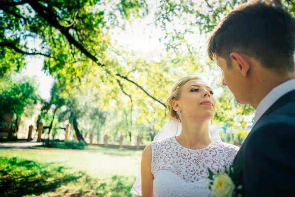 Porträtt bruden och brudgummen på bakgrunden av park gränden — Stockfoto