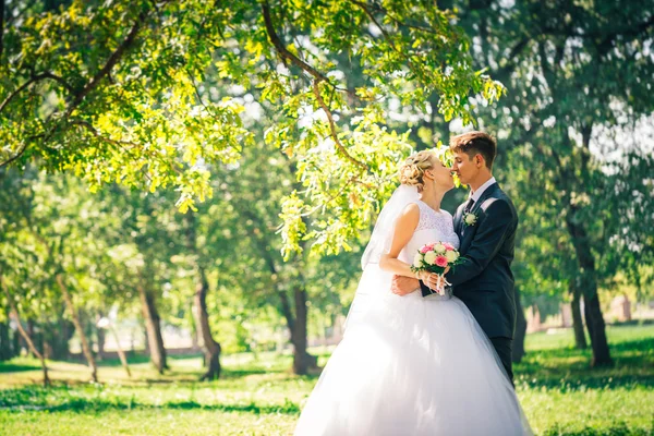 Portre gelin ve damat park sokak arka plan üzerinde — Stok fotoğraf