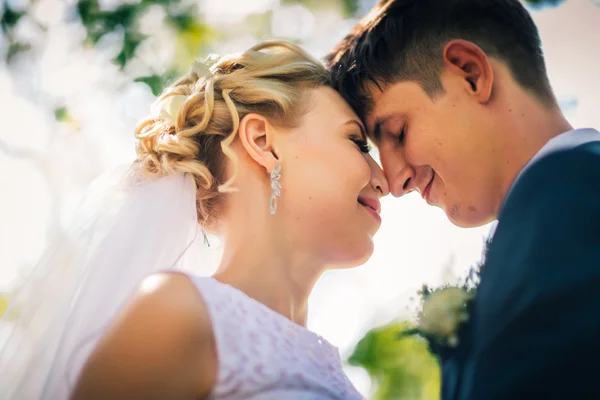 Portrait the bride and groom on the background of the park alley — Stock Photo, Image