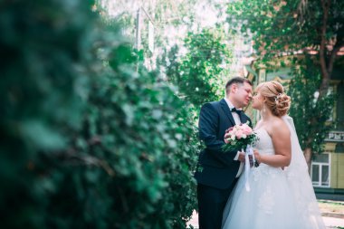 Gelin ve damat Bahçe Çiti arka plan üzerinde