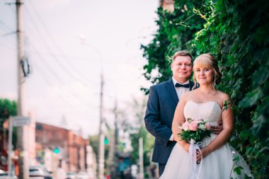 Gelin ve damat Bahçe Çiti arka plan üzerinde