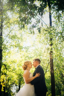 Çift gelin ve damat park'ın ağaçlar arka plan üzerinde