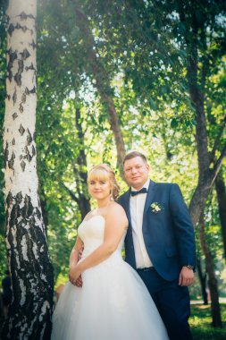 Çift gelin ve damat park'ın ağaçlar arka plan üzerinde