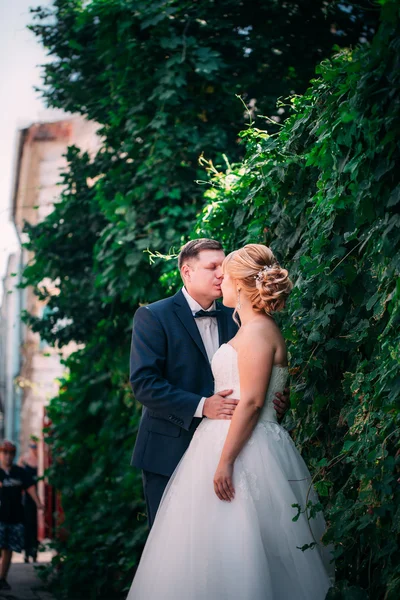 Bruden och brudgummen på bakgrunden av trädgårdsstaketet — Stockfoto