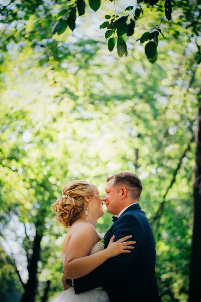 Пара жениха и невесты на фоне деревьев парка — стоковое фото