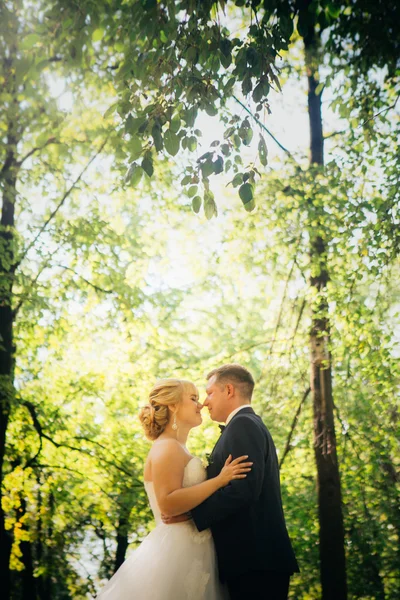 Пара наречена і наречений на фоні паркових дерев — стокове фото