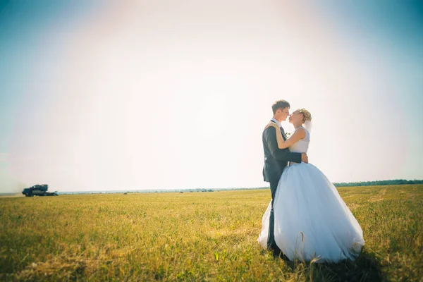 A noiva e o noivo no fundo do campo — Fotografia de Stock
