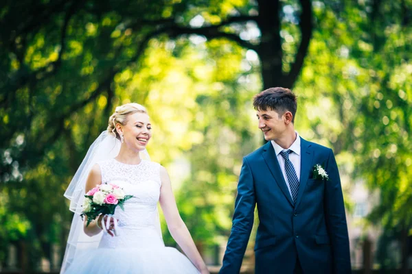 Portrait the bride and groom on the background of the park alley — Stock Photo, Image