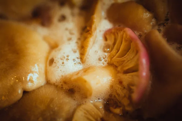 Champiñones cocinados en una cacerola de cerca —  Fotos de Stock