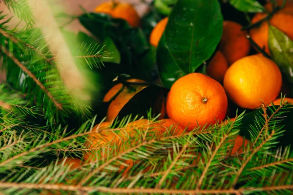 Muchas mandarinas frescas y ramas del árbol de Navidad sobre un fondo de madera —  Fotos de Stock