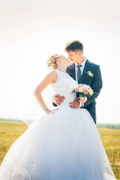 De bruid en bruidegom op de achtergrond van veld — Stockfoto