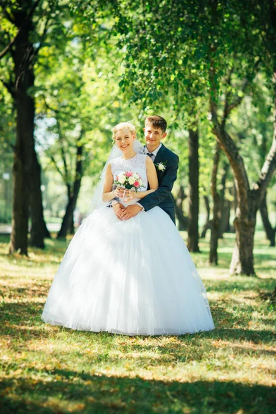 La novia y el novio en el fondo del callejón del parque — Foto de Stock