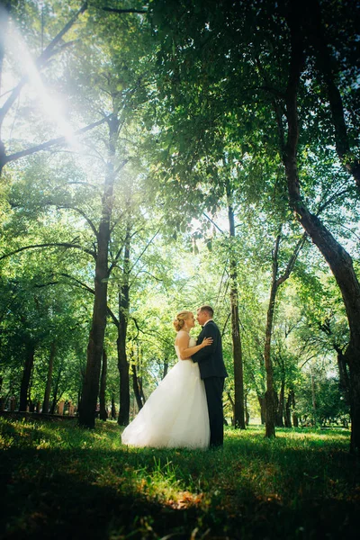 Par bruden och brudgummen på bakgrunden av parkens träd — Stockfoto