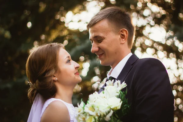 Par brud och brudgum på en park bakgrund — Stockfoto