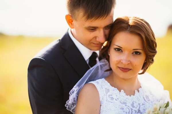 Paar bruid en bruidegom op veld achtergrond — Stockfoto