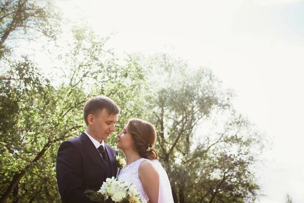 Park geçmişinde bir çift gelin ve damat — Stok fotoğraf