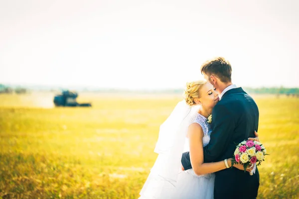 Gli sposi sullo sfondo del campo — Foto Stock