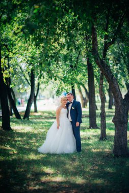 Çift gelin ve damat park'ın ağaçlar arka plan üzerinde