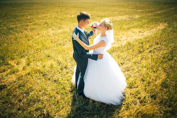 Невеста и жених на фоне поля — стоковое фото