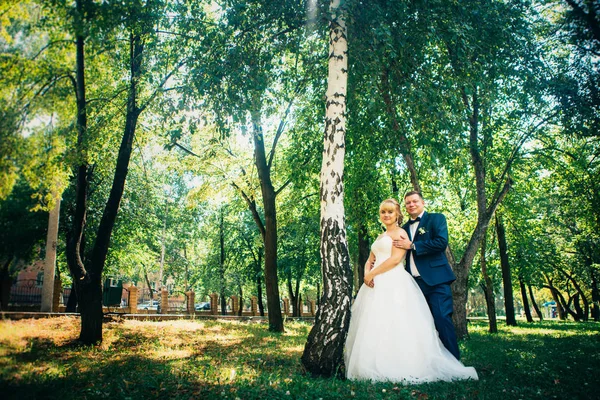 Pár nevěsta a ženich na pozadí stromů parku — Stock fotografie