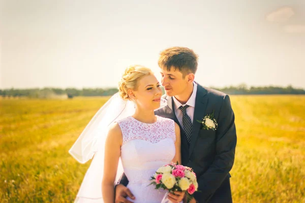 The bride and groom on the background of field — Stock Photo, Image