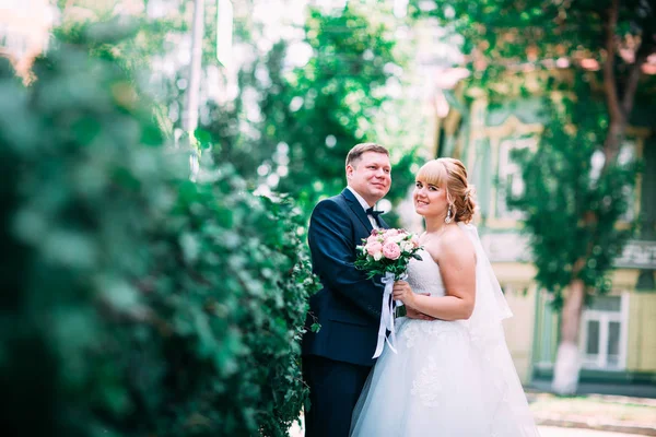 Gelin ve damat Bahçe Çiti arka plan üzerinde