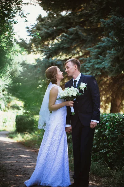 Paar bruid en bruidegom op een park achtergrond — Stockfoto