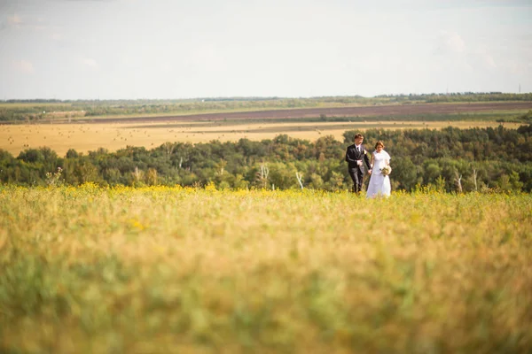 Brautpaar auf dem Feld — Stockfoto