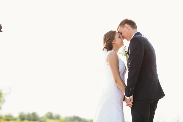 Pár nevěsta a ženich na pozadí pole — Stock fotografie