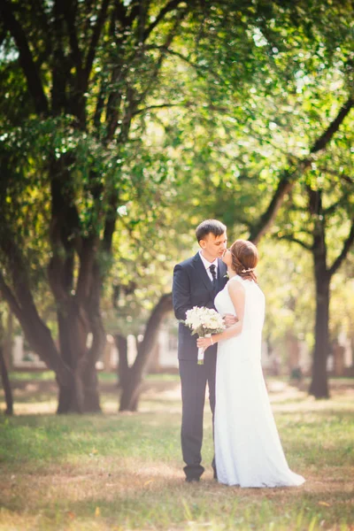 Çift gelin ve damat park'ın ağaçlar arka plan üzerinde