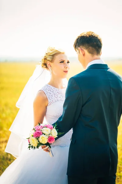 La novia y el novio en el fondo del campo — Foto de Stock