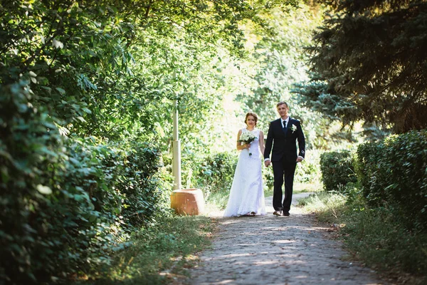夫婦の花嫁と新郎が公園を背景に — ストック写真