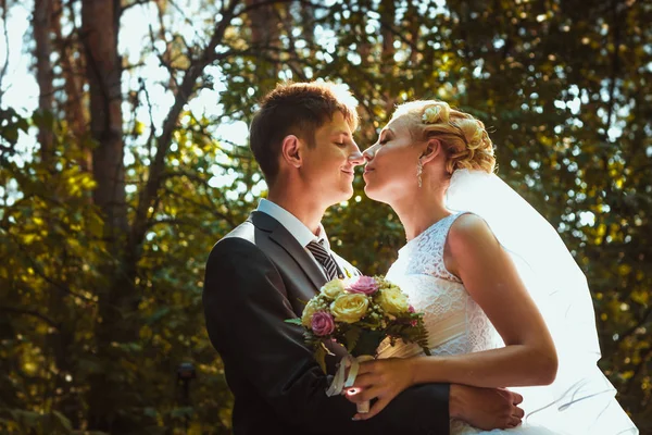 Gelin ve damat orman arka planında — Stok fotoğraf